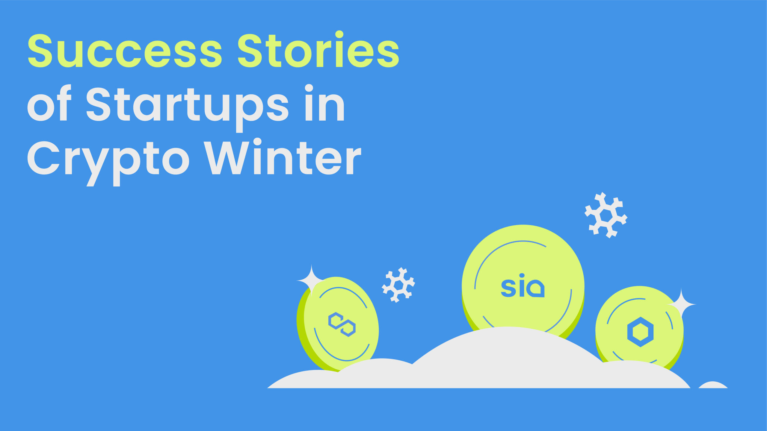 Born in Winter: What we learn from 3 crypto startups that survived