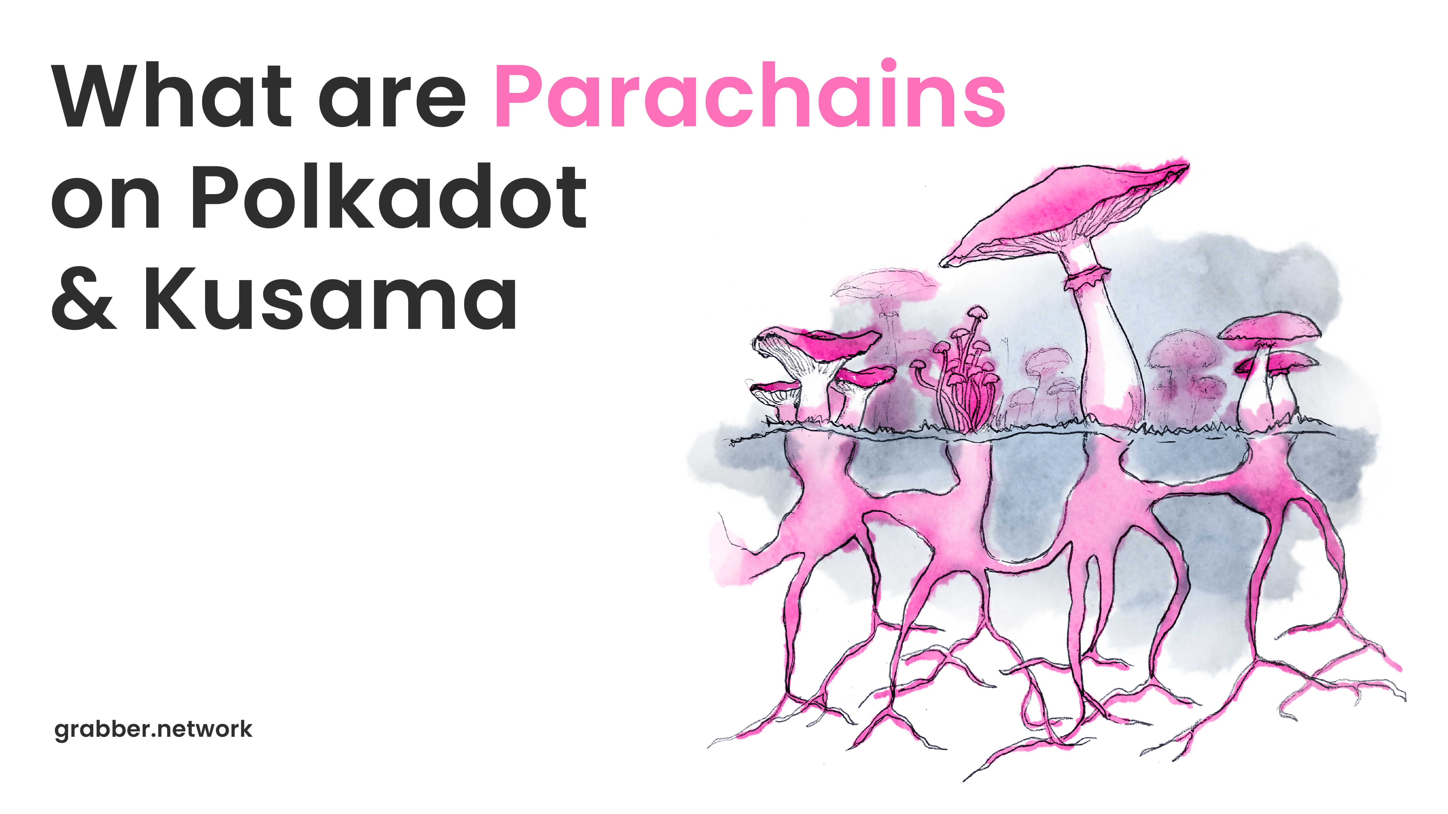 What are Parachains on Polkadot & Kusama?￼